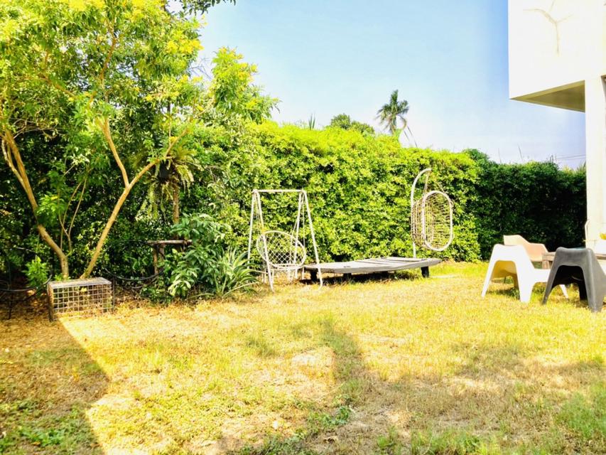 ขาย บ้านเดี่ยว ทวีวัฒนา25 ทรงกล่องโมเดิร์น สถาปนิกออกแบบเอง 89ตรว พร้อม Rooftop ติดคลอง บรรยากาศดี ใกล้ ม.มหิดล เหมาะเป็ 3