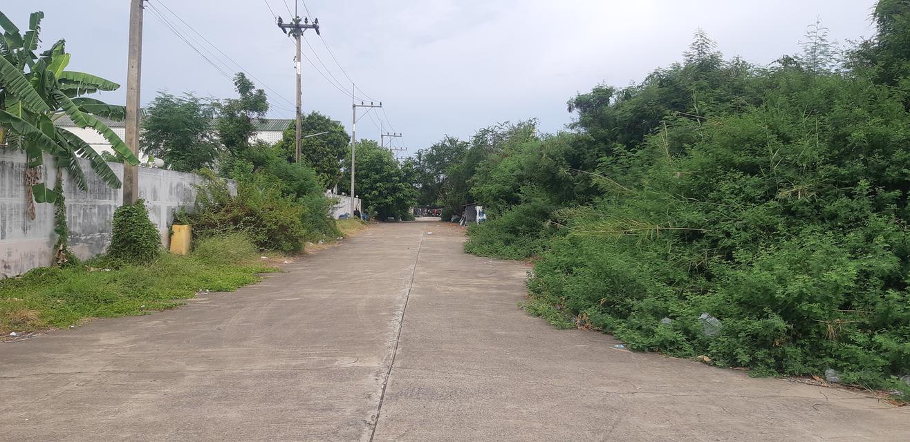 ขายที่ดินโครงการโกลเด้น แฟคทอรี่  ที่ดินจำนวน  2 – 2 - 91 ไร่ 3