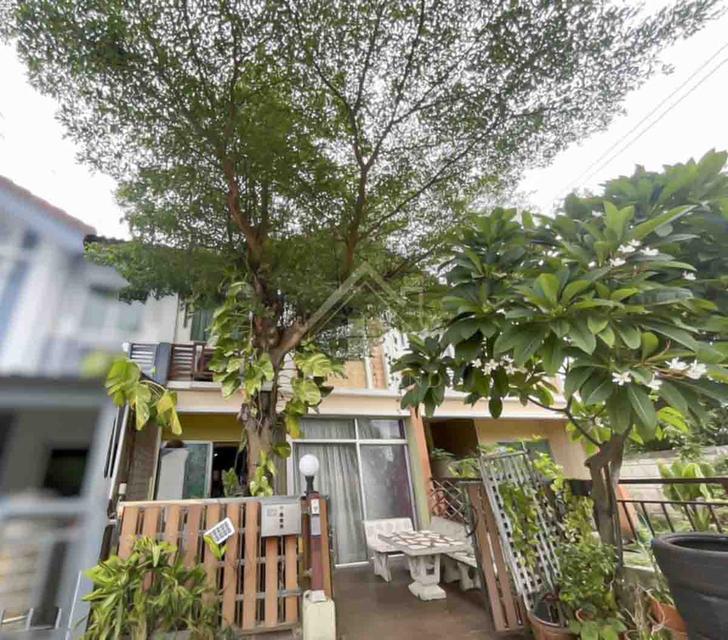 ทาวน์เฮ้าส์ 2 ชั้น หมู่บ้าน พฤกษาวิลล์ 10 เพชรเกษม - พุทธมณฑลสาย 4 1