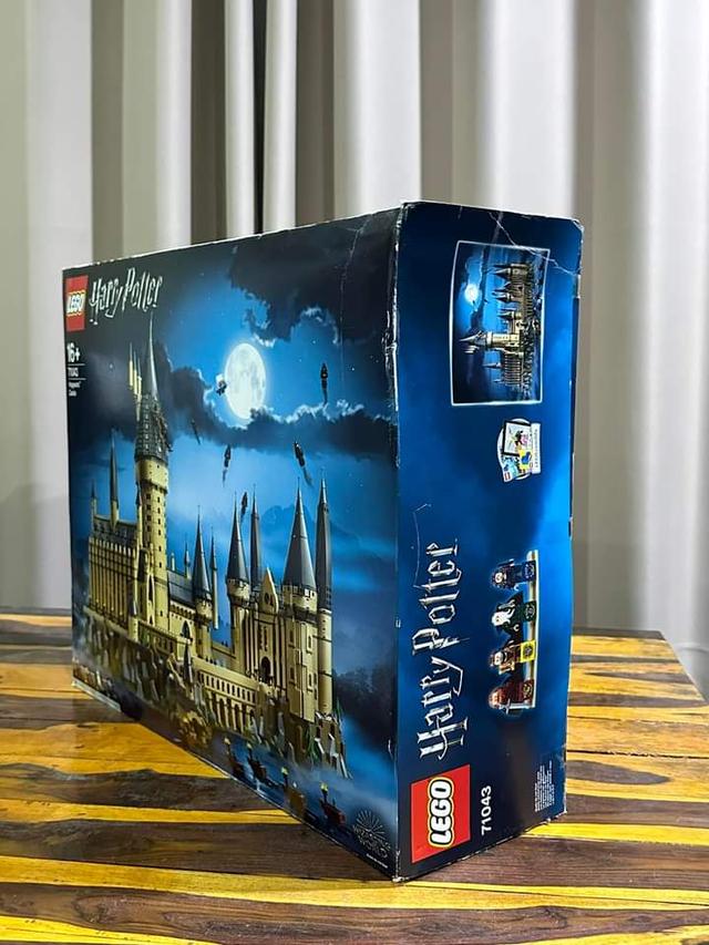 LEGO 71043 Harry Potter Hogwarts Castle 2