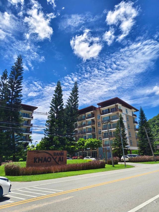 🏢ขาย Condo Bann khao Yai คอนโดหรู ใจกลางเขาใหญ่ ขนาดห้อง 33 ตร.ม. ชั้น 5 ตึก B วิวภูเขาราคา 3.8 ล้าน 12