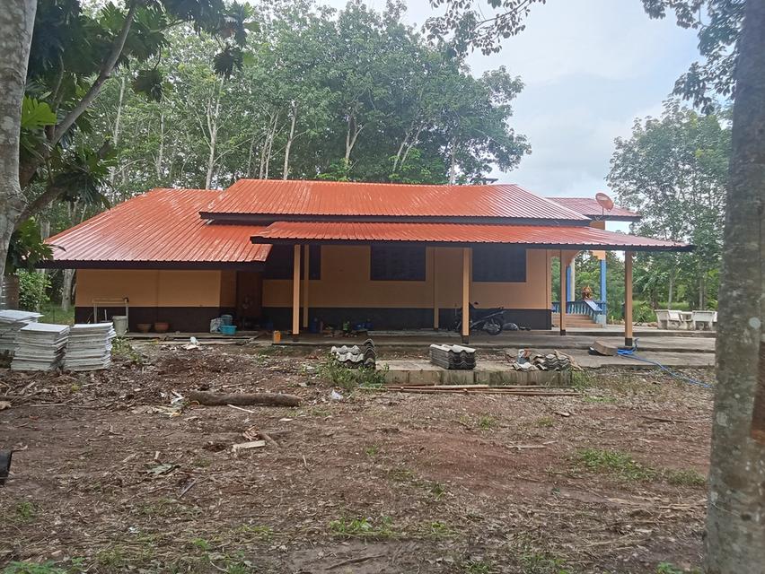 บ้านพร้อนที่ดินสวนยาง 15