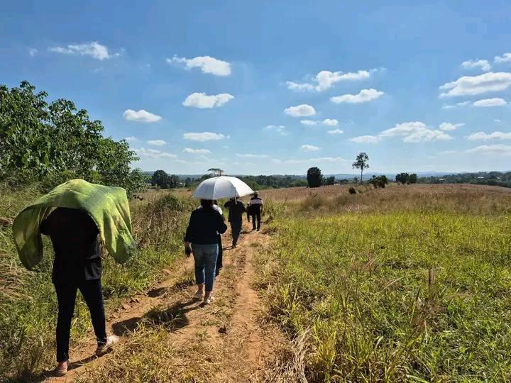 ที่ดิน เปล่า 23 ไร่ หลังอำเภอวังน้ำเขียว บ้านน้ำซับ 2