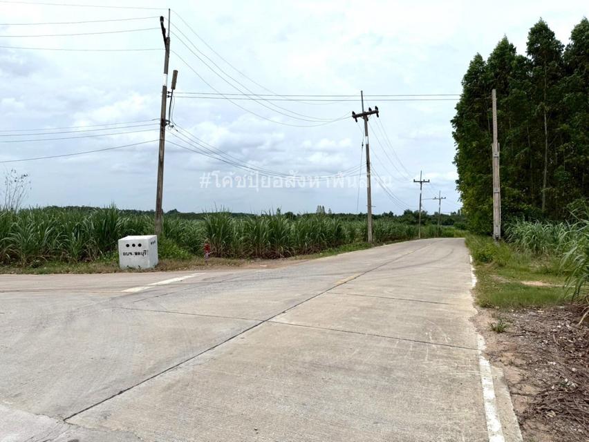 ขาย ที่ดิน ME376 ทำเลดี ราคาถูกสุดในย่านนี้ หนองอิรุณ บ้านบึง ชลบุรี . 50 ไร่ ใกล้เขตอุตสาหกรรมอาหารสยาม นิคมอมตะชลบุรี2