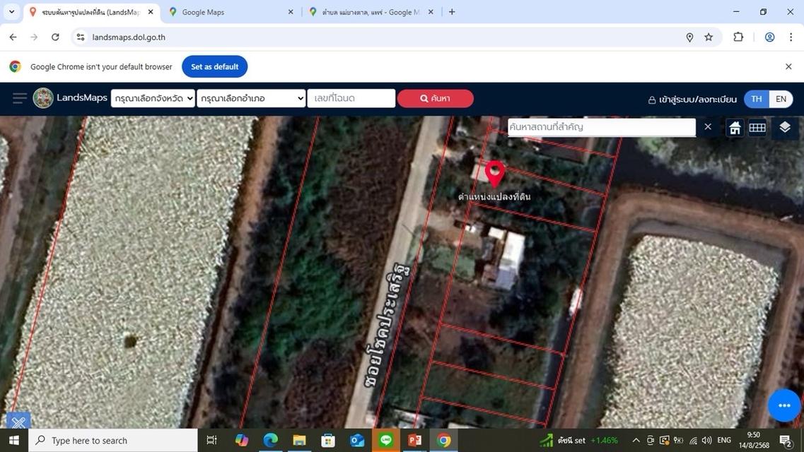 ขายที่ดิน 1 งาน ติดถนนคอนกรีตกว้าง 5 ม. ไฟฟ้า ประปา หน้าแปลงที่ดิน เดินทางสะดวก น้ำไม่เคยท่วม ในซอยนี้ มีบ้านหลายหลัง พิกัดซอยโชคประเสริฐ วัดแสมขาว 1