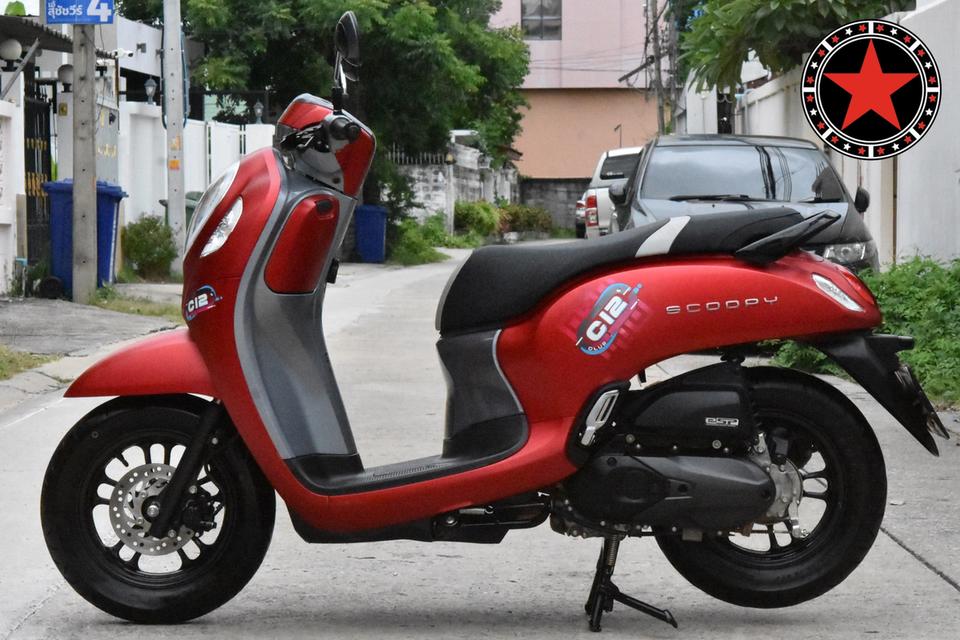 Honda Scoopy Club12 6