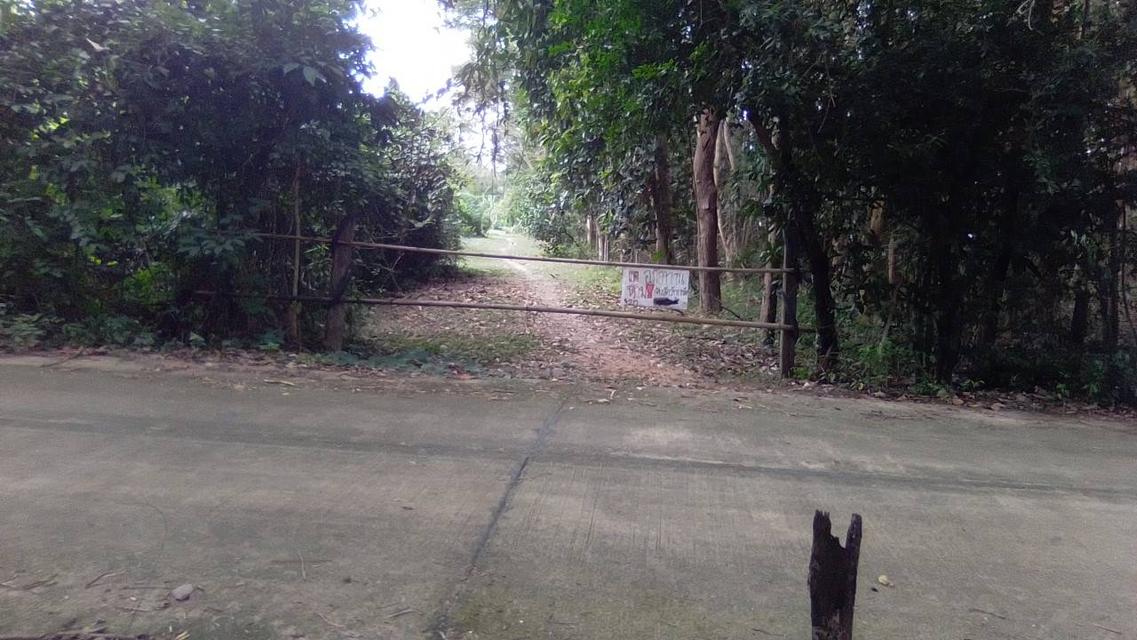 ที่ดินบ้านสวน มุกดาหาร 13