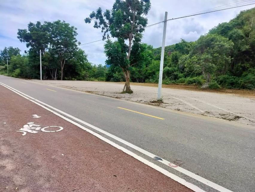 ที่ดินสวยติดทะเล หลังติดภูขา 7