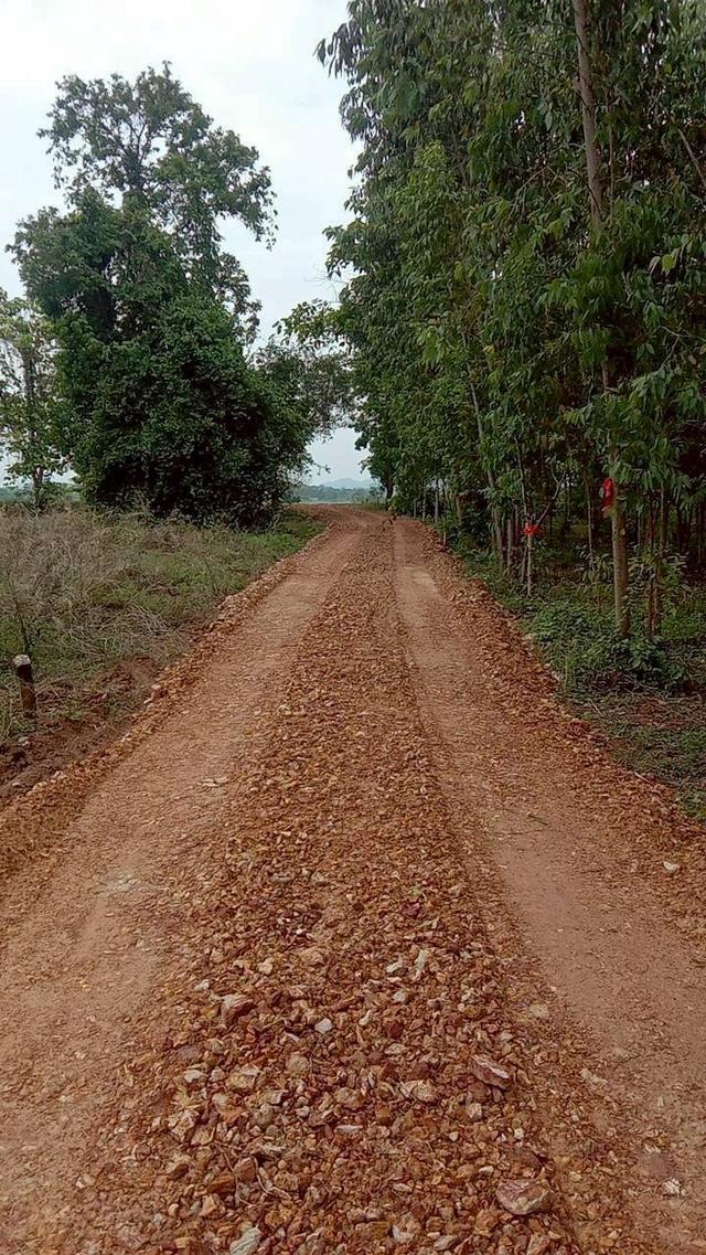 ที่ดินเปล่าถมแล้ว เนื้อที่ 10 ไร่ 1 งาน 14 ตร.ว. ถนนพหลโยธิน ต.ลานดอกไม้ตก อ.โกสัมพีนคร จ.กำแพงเพชร 3