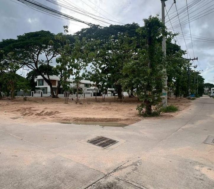 ขายที่ดินถมแล้วหนองปรือ 1 ไร่ แปลงหัวมุมติดถ.ซอยชัยพฤกษ์1 ใกล้หาดจอมเทียน-1กม. จ.ชลบุรี 2