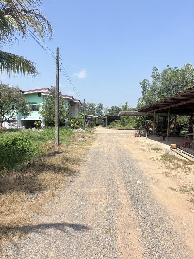 ที่ดิน18ไร่กว่าสวนทุเรียนกับมังคุดมีบ้านพักพร้อมอยู่น้ำไม่มีขาดไฟฟ้าเข้าถึงโฉนด 3