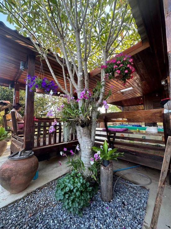 บ้านพร้อมที่ดิน ท่าใหม่ จันทบุรี บรรยากาศบ้านสวนธรรมชาติ   8