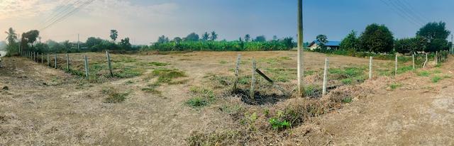 ที่ดิน จังหวัดอ่างทอง 1