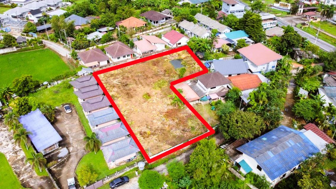 ขายที่ดินเปล่า 1 ไร่ 50 ตร.ว. บ้านป่าไร่ ซ.4 เดินทางสะดวก ใกล้ม.ราชภัฏเชียงราย ( เจ้าของขายเอง ) 1