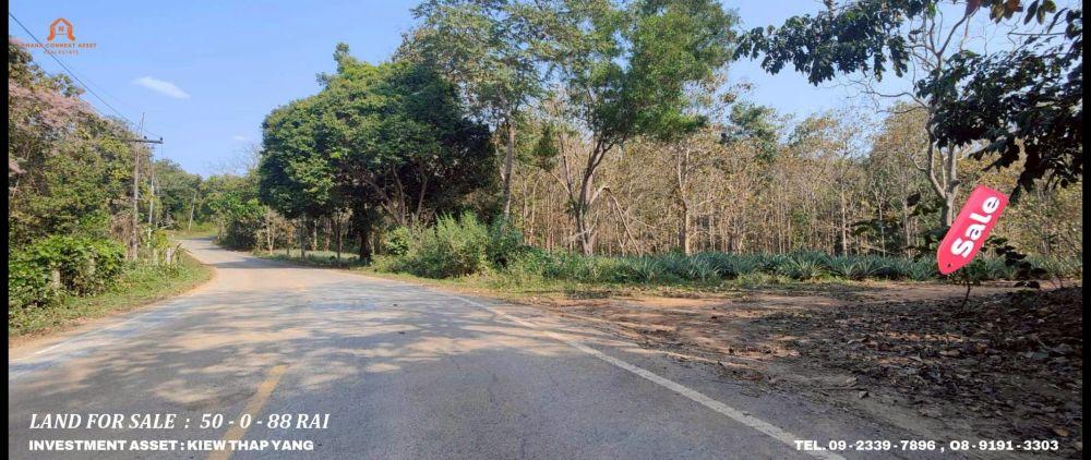 ขายที่ดินสวยพร้อมโฉนด พื้นที่ 50-0-88 ไร่ บรรยากาศธรรมชาติ วิวภูเขา ติดป่าสงวนแม่ข้าวต้ม-ห้วยลึก ต.แม่จัน เชียงราย 14