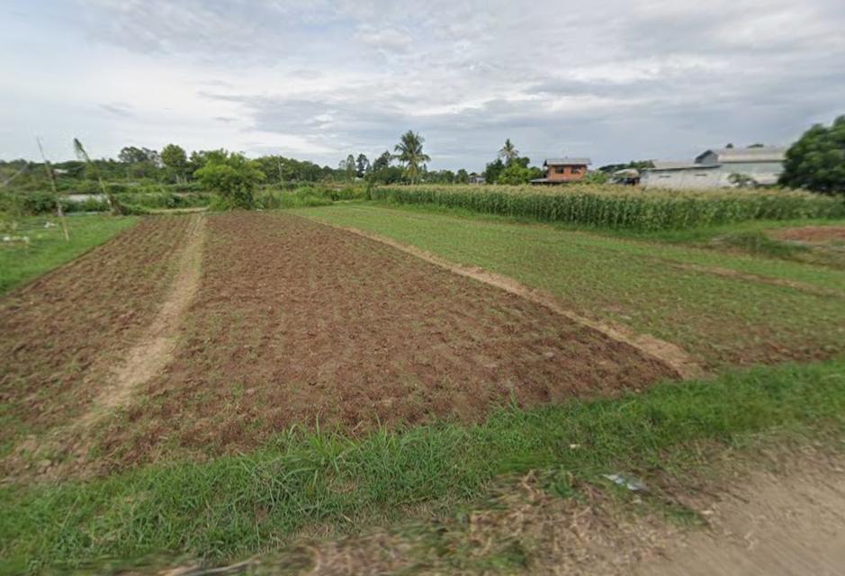 ที่ดินเมืองขอนแก่น ตำบลศิลา ราคาคุยกันก่อนได้ 5