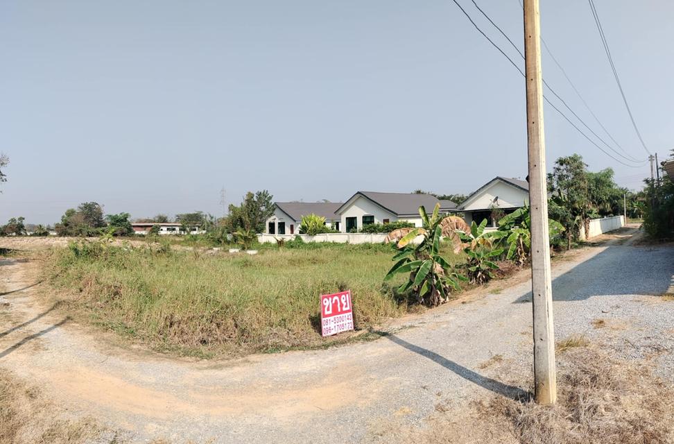 ขายที่ดิน120ตรว.จังหวัดแพร่