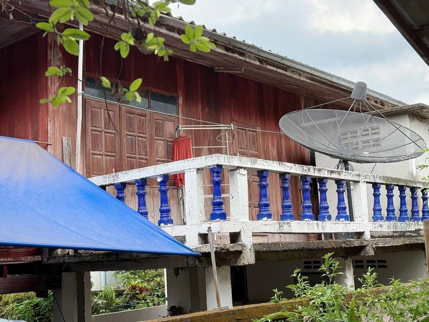 บ้านพร้อม ที่ดิน ติดถนน 2