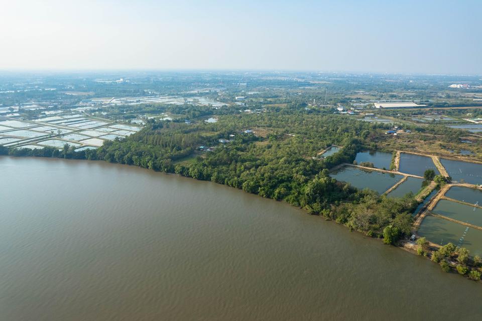 ขายที่ดิน ติดแม่น้ำบางปะกง เนื้อที่ 18 ไร่ 2 งาน 39 ตารางวา ตั้งอยู่ที่ ต.บางกรูด อ.บ้านโพธิ์ จ.ฉะเชิงเทรา 1