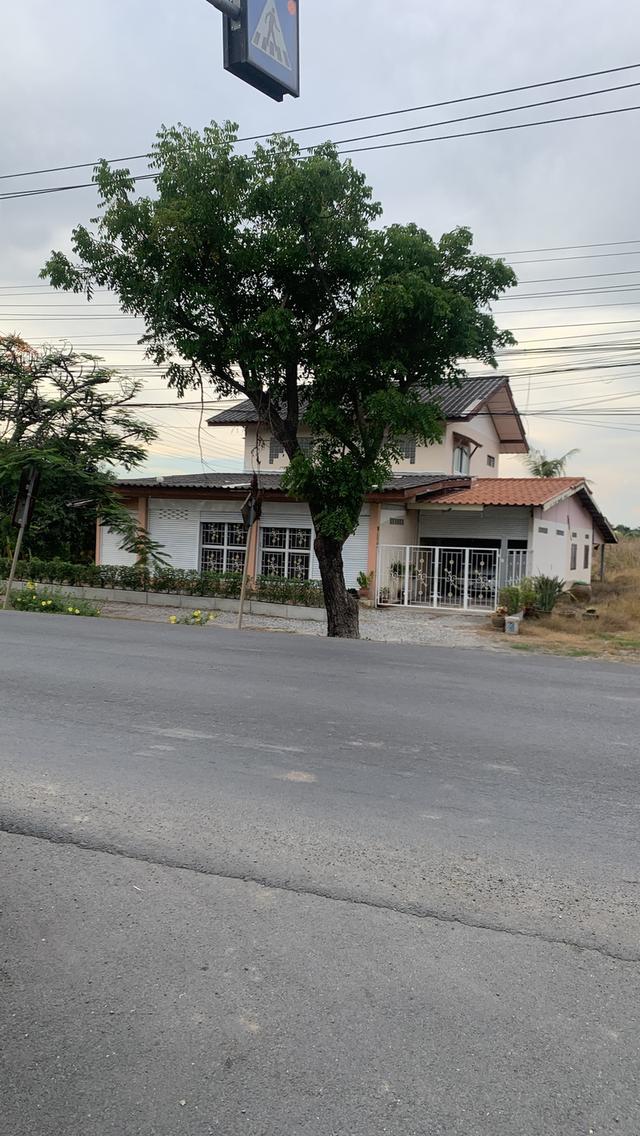 ขายบ้านพร้อมที่ดิน 200 ตารางวา ทำเลศักยภาพ หนองจอก ติดถนนใหญ่ เหมาะอยู่อาศัยและต่อยอดธุรกิจ 7