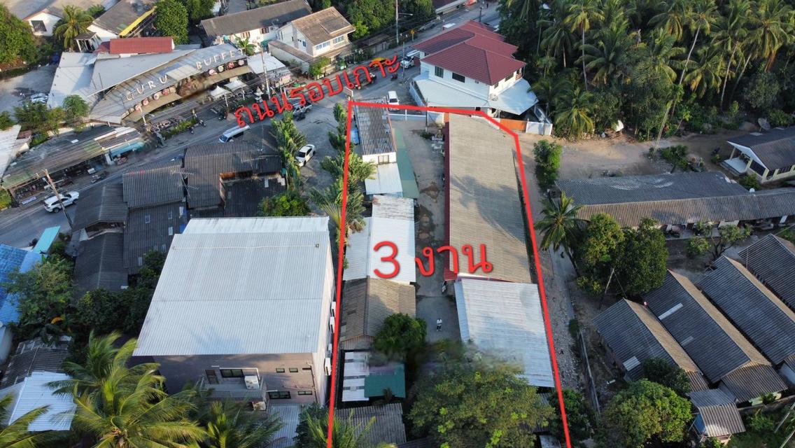 ที่ดินสมุย 3 งาน เหมาะลงทุน 4