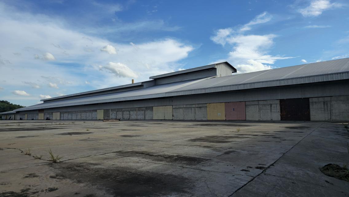 ที่ดินโรงสีเก่าโกดังพร้อมบ้าน 2