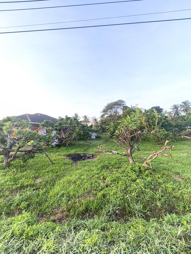 ที่ดินงามเชียงใหม่ 5