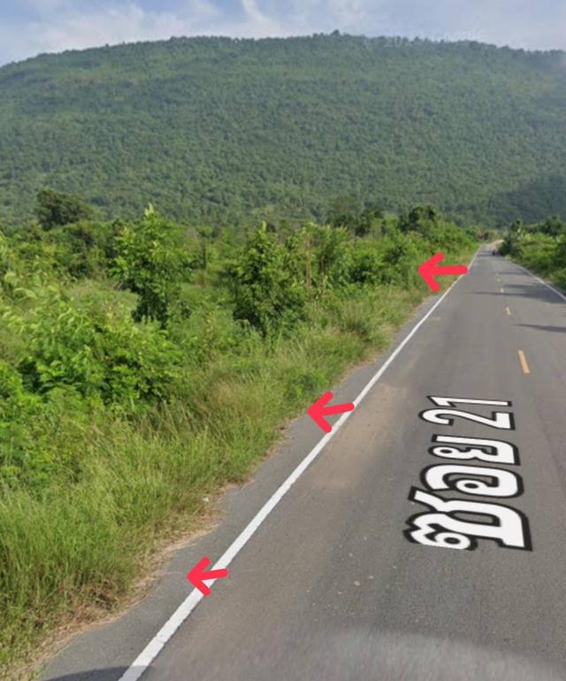 ขายที่ดินสีม่วง219ไร่ อ.พัฒนานิคม จ.ลพบุรี ไร่ละ3แสน 2