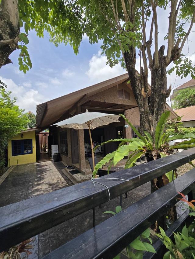 3 ห้องนอน 2 ห้องน้ำ - บ้านถนน สันโค้งหลวง ซอย 6, รอบเวียง, หมู่ที่ 4, เชียงราย 57000, ประเทศไทย📣 ขายบ้านเดี่ยวพร้อมอยู่ ใจกลางเมืองเชียงราย!📍  4