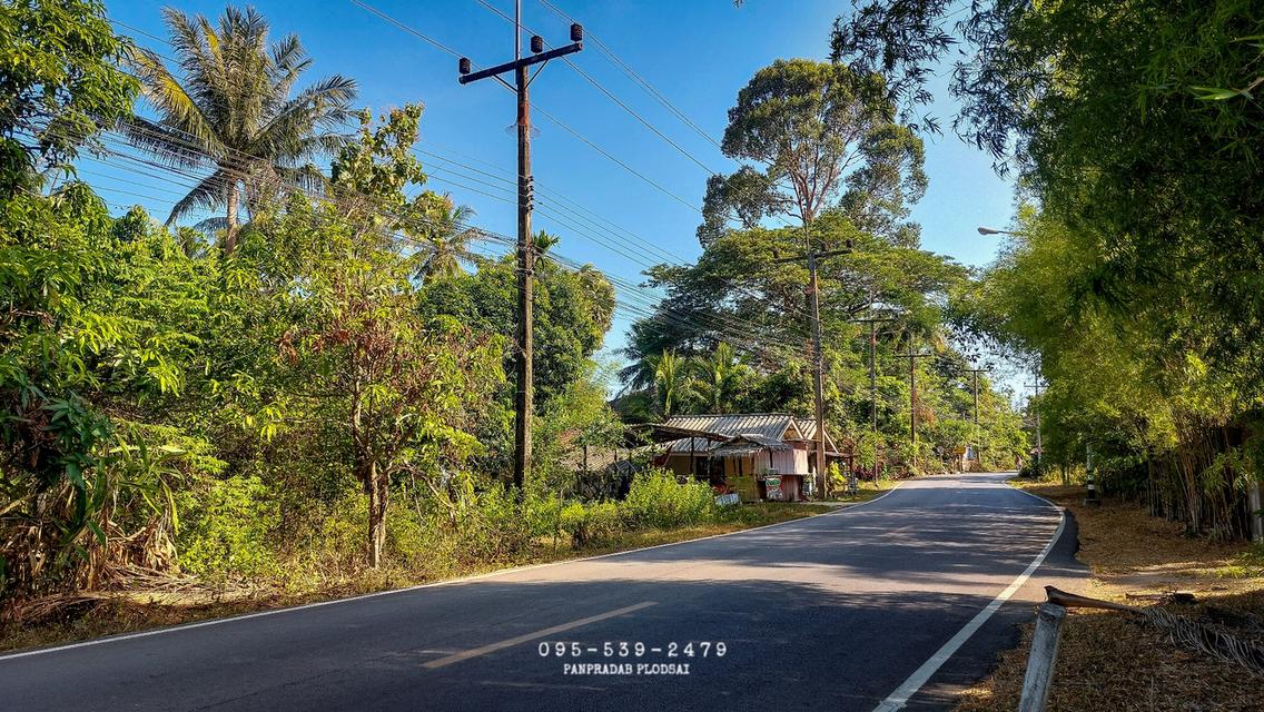 ขายที่ดินเปล่า ใกล้ท่าเรือตะโกลา จ.กระบี่ 2