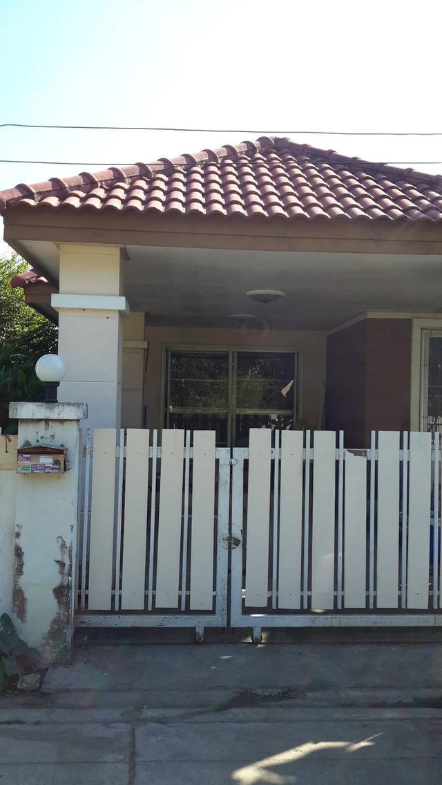 บ้านแฝดชั้นเดียวเนื้อที่ 28 ตรว. 1