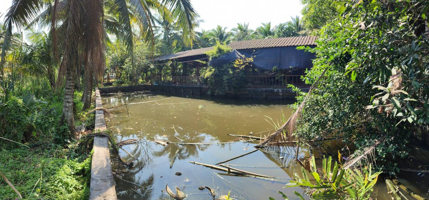 ที่ดินสวนพร้อมบ้าน บ้านเเพ้ว 20