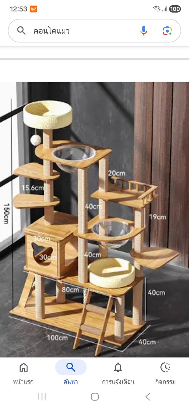 คอนโดแมว บ้านแมว มือสอง