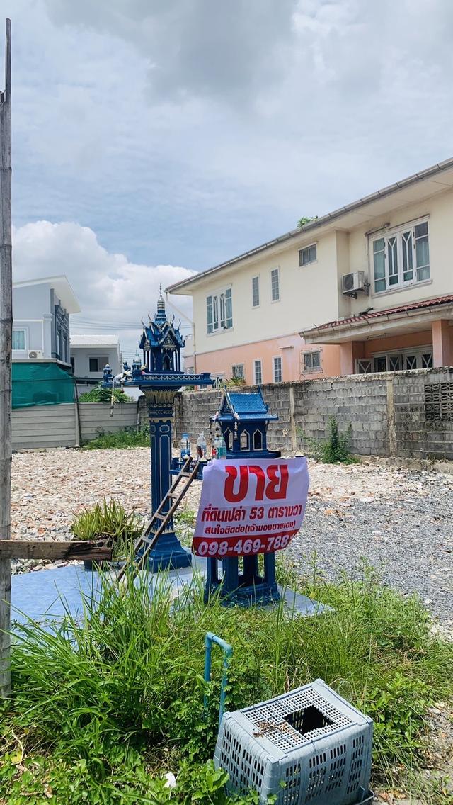 ที่ดินเปล่า 53 ตารางวา 1