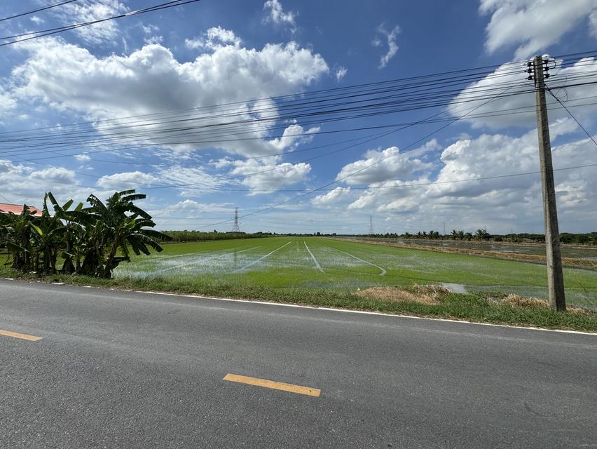ขายที่ดิน 31 ไร่ ติดถนน อ.ลาดหลุมแก้ว จ.ปทุมธานี 2