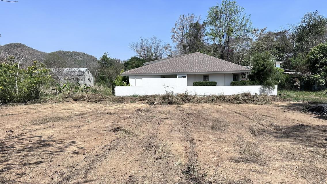 ที่ดิน อ.ปากช่อง จ.นครราชสีมา 2