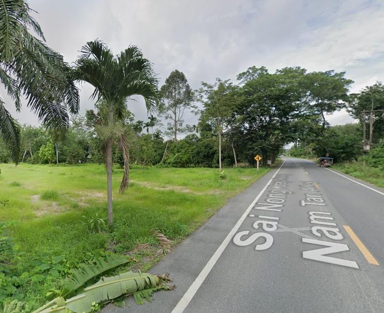 ขายที่ดินหนองบัว 2 ไร่ ติดถนนซ.หนองกรับ-โรงน้ำตาล ใกล้นิคมโรจนะ-5กม. อ.บ้านค่าย ระยอง 2