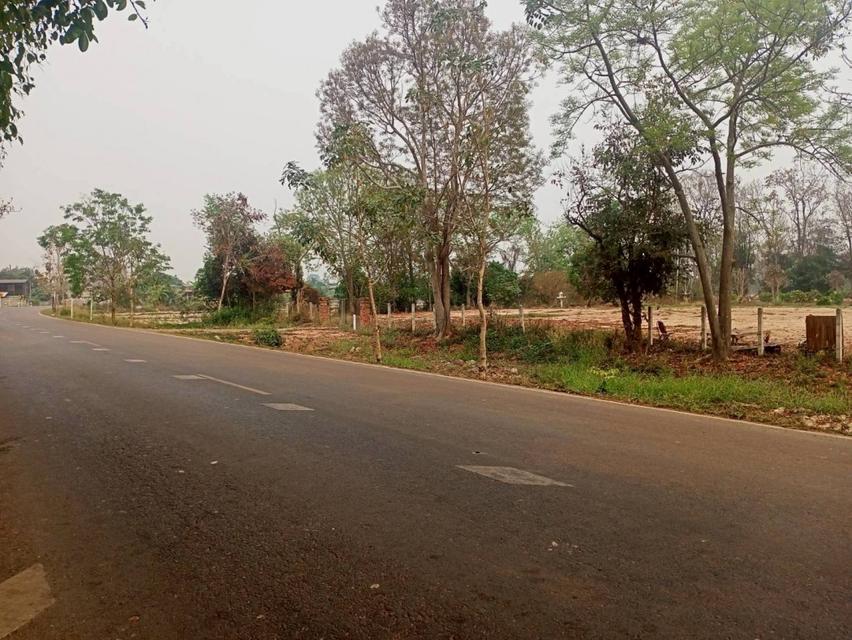 ขายที่ดิน 40 ไร่ 0 งาน 67.5 ตร.ว. ติดถนนหมายเลข 1186 ใกล้กรมทหารพรานที่ 31 พะเยา 4