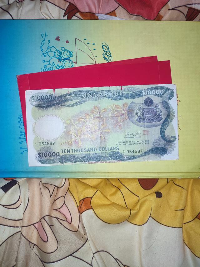 10000Dol 2