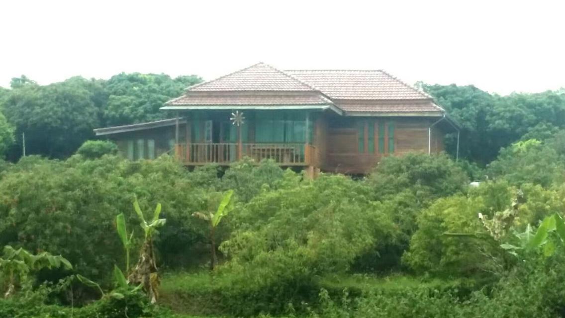 ที่ดินอำเภอน้ำหนาว จ.เพชรบูรณ์ 2