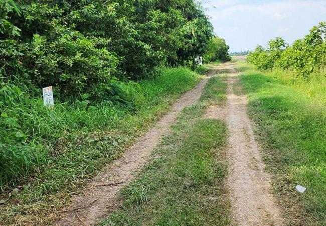 ขายที่ดิน 150 ตร.ว. บ้านระแหง ถนนปทุมธานี-ลาดหลุมแก้ว ระแหง ลาดหลุมแก้ว ปทุมธานี 5