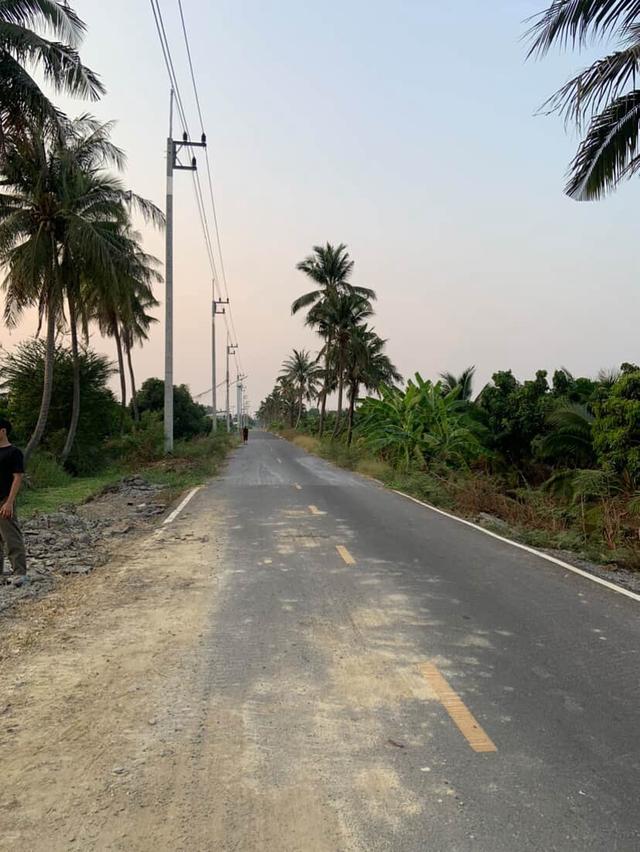 🌿 ขายที่ดินแปลงสวย ทำเลดี สามพราน นครปฐม 🌿 3