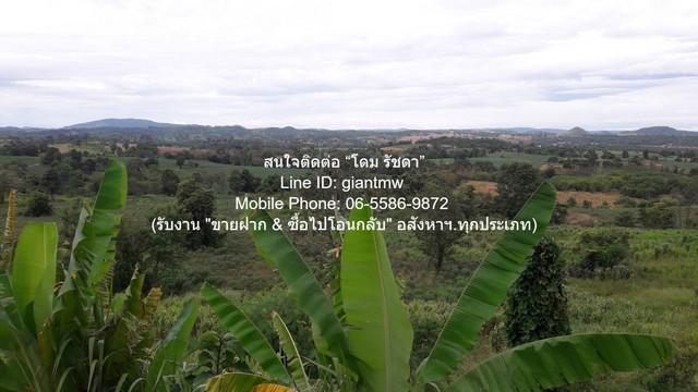 ขายที่ดินบนเนินเขา 10-1-5 ไร่ (ใบอ่อน: ส.ป.ก./สร.5 ก.) วังน้ำเขียว นครราชสีมา ราคา 4,500,000 บาท (โอนฟรี) 8