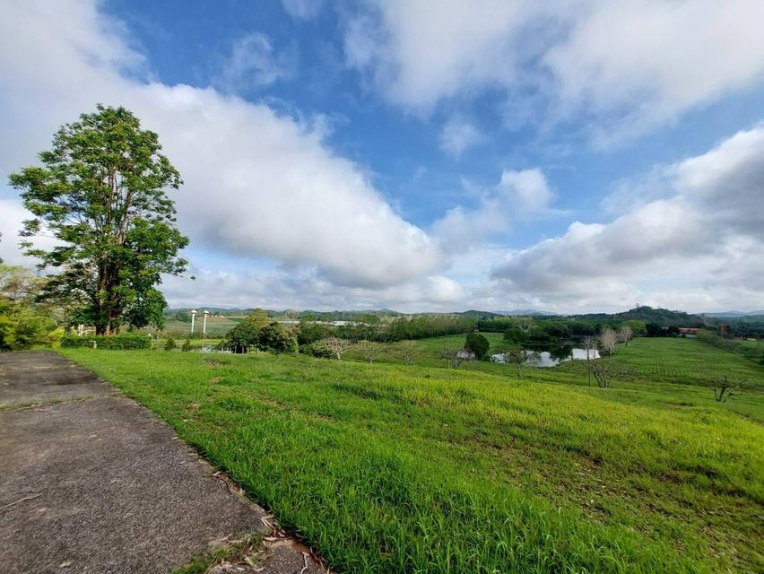 ขาย/ให้เช่าที่ดินเชียงราย 7