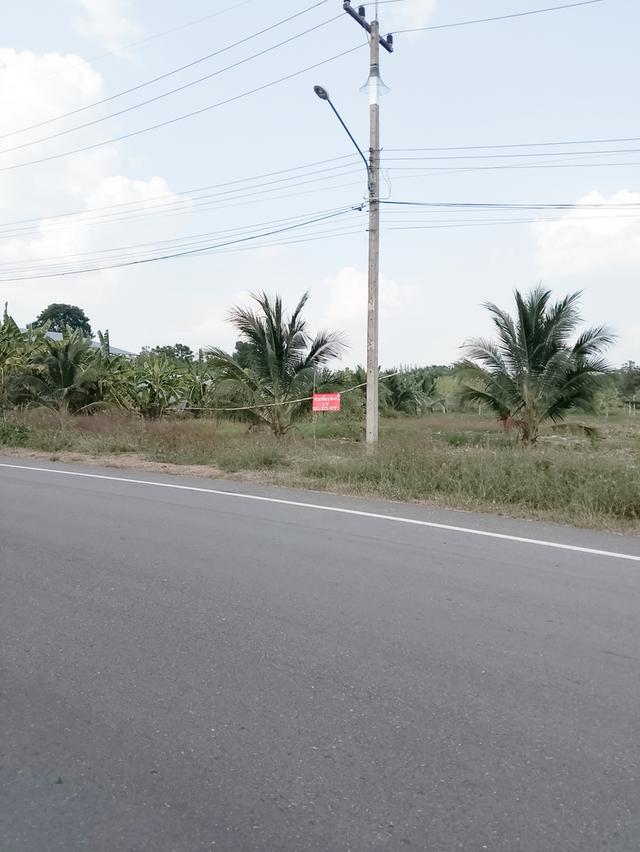 ขายที่ดิน 6ไร่ ต น้ำพุ อ เมืองราชบุรี 4