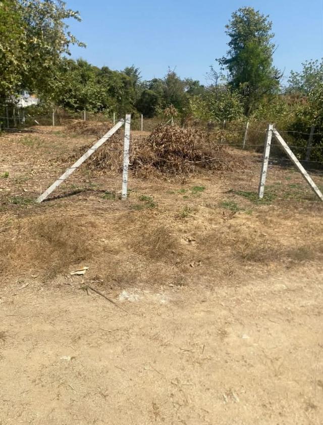 ขายที่เขาตามาก 90 ตรว. โฉนดพร้อมโอน ถูกมาก ที่ถมแล้ว 1