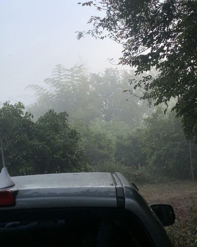 ที่ดิน 9 ไร่ 1 งาน 7 ตรว 13