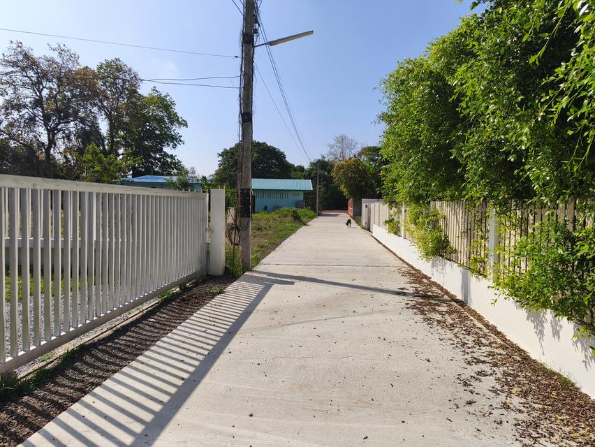 บ้านพร้อมที่ดินโคราช 18