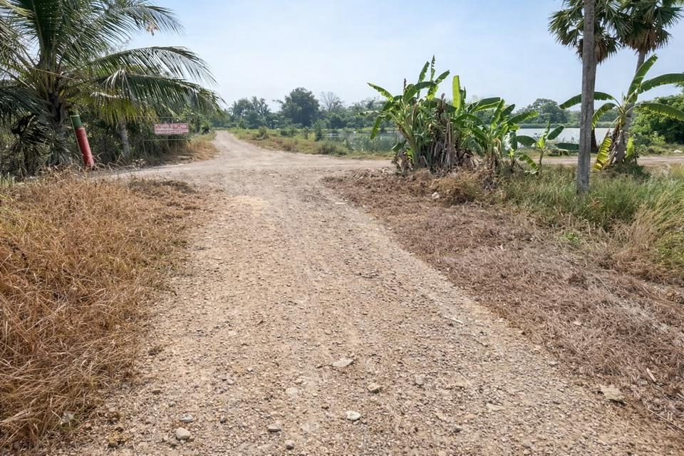 ขายที่ดินแปลงเดียว 2 โฉนด 250 ไร่ หนองหมู วิหารแดง สระบุรี เหมาะทำเกษตรและลงทุน 2