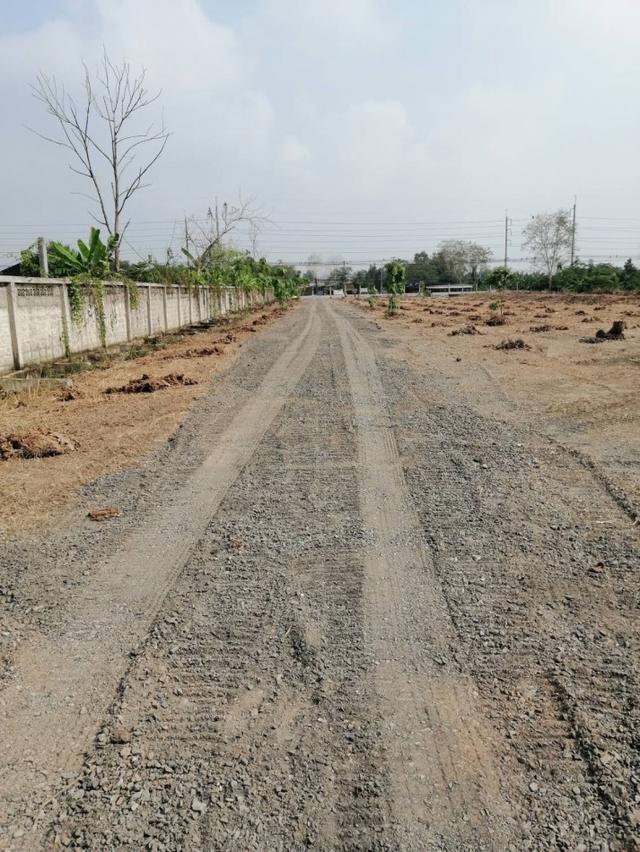 ให้เช่า ที่ดิน คลอง 10 ลำลูกกา 7 ไร่ 2 งาน 66 ตร.วา ทำเลดี ติดถนนลำลูกกา เหมาะทำการค้า โกดัง ปั๊มน้ำมัน 4